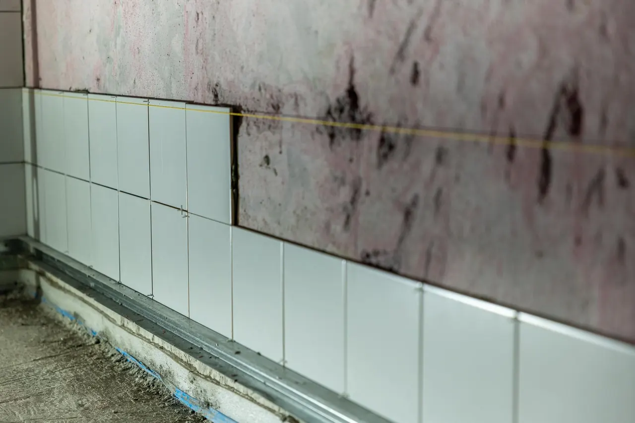 Dark staining is mistaken for confirmed black mold.